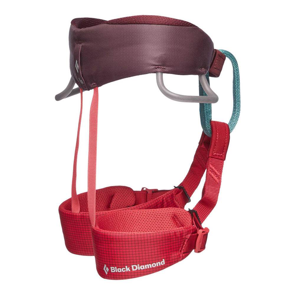 Black Diamond Kids' Momentum Climbing Harness – Comfortable and Adjustable Harness for Young Climbers - Image 3